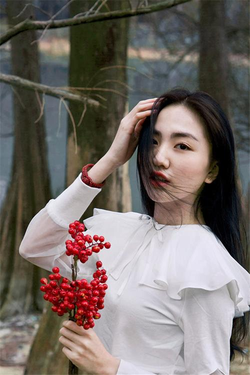 长弓燧龙原神资源合集应用界面